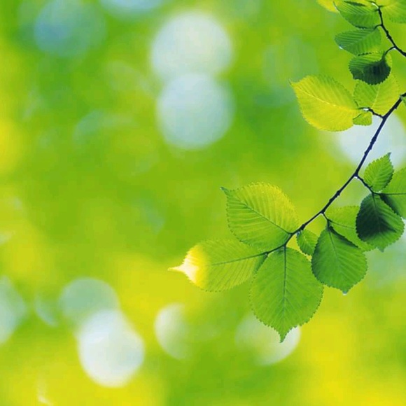 Meet your Posher, Olena - Picture 1 of 1